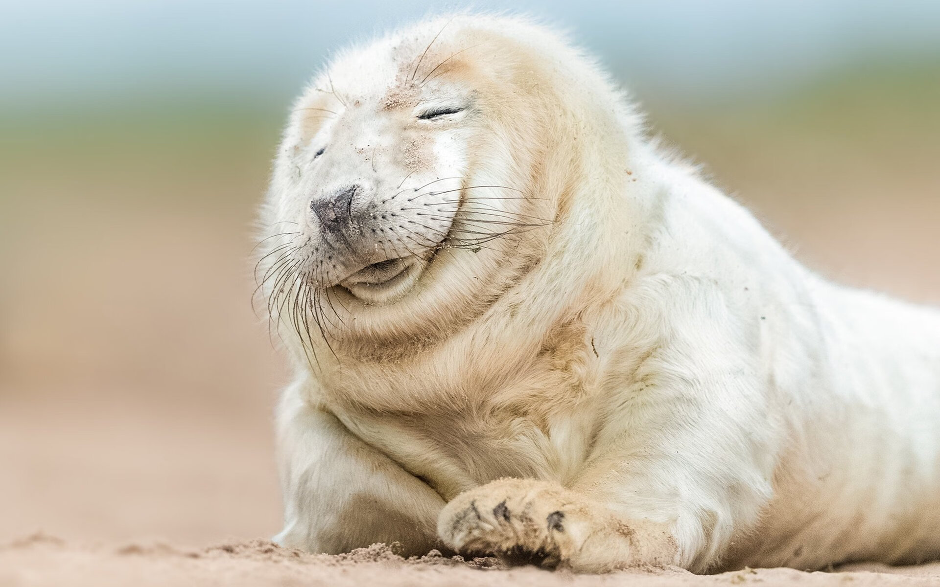 外教管理模式与本土文化冲突显著，管理外教的工作很累吗